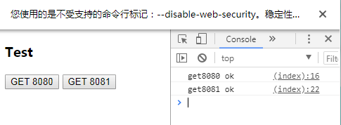 disable-web-security